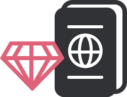 skilled migration icon